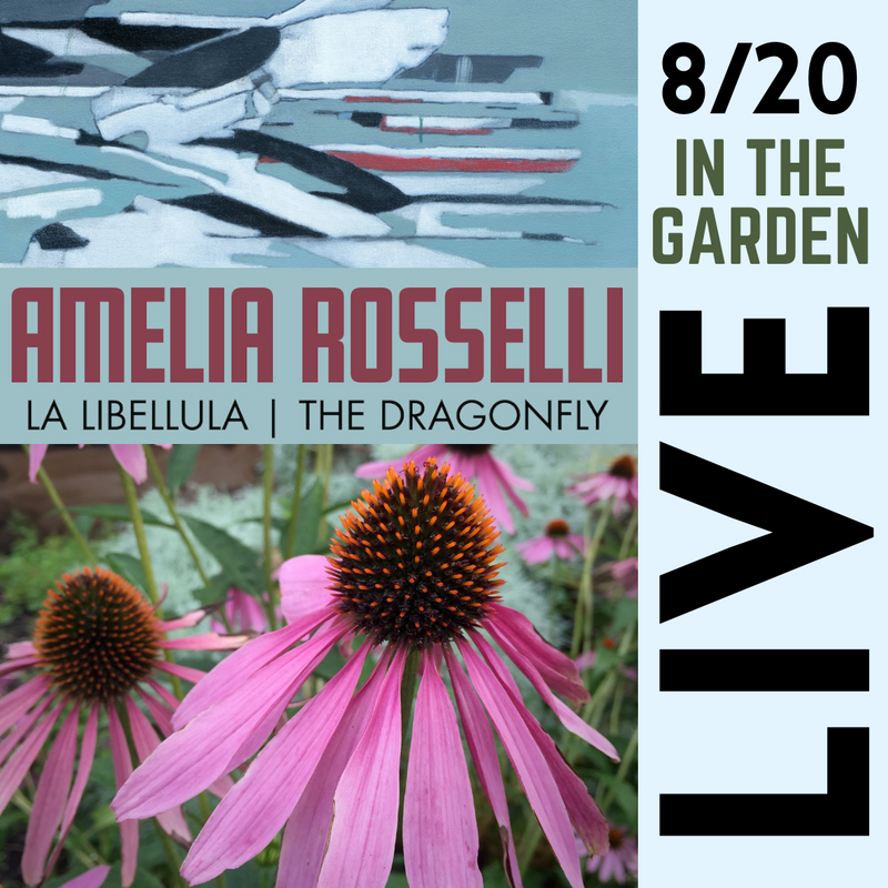 In the Garden: The Dragonfly